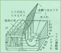 母鳥がふ化したヒナを育てるのに適した飼育舎図