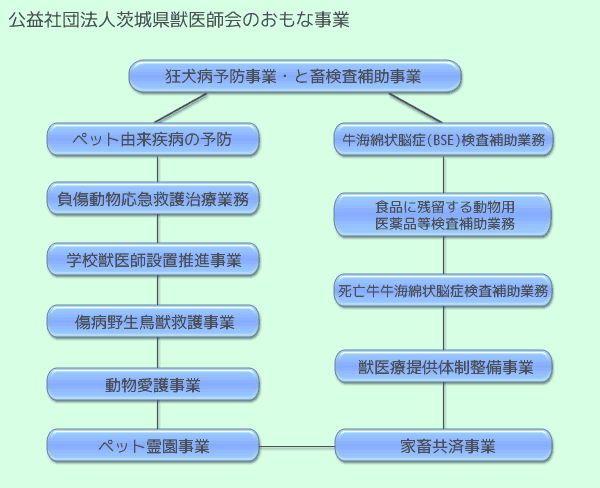 おもな事業