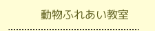 動物ふれあい教室