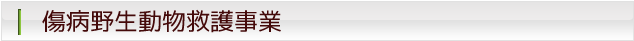 （ア）	傷病野生動物救護事業