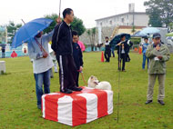 長寿犬表彰