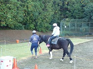 ポニー乗馬体験