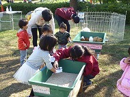 ふれあい動物園