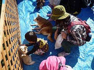 ふれあい動物園