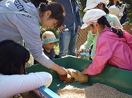 ふれあい動物園