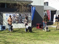 家庭犬しつけ教室