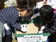 飼い犬しつけ教室