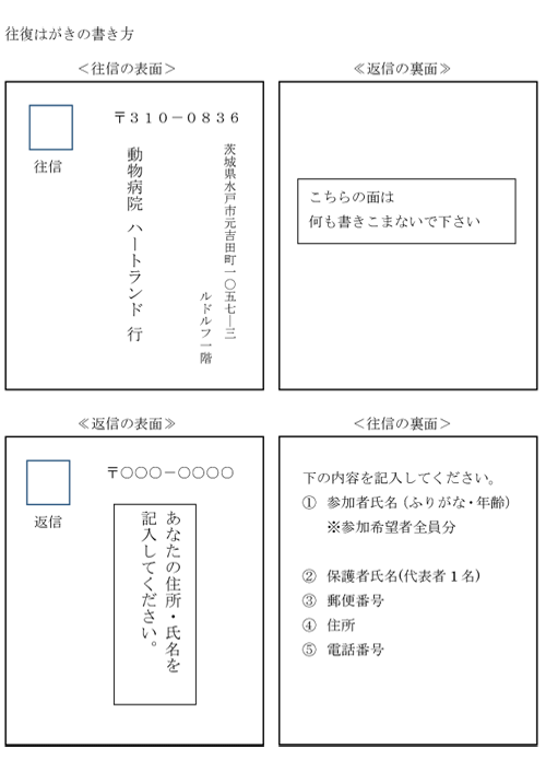 往復はがきの書き方