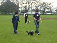 飼い犬しつけ教室