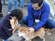 無料ふれあい動物園