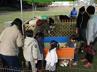 ふれあい動物園