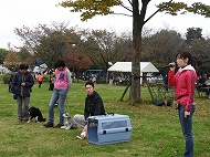 飼い犬しつけ教室