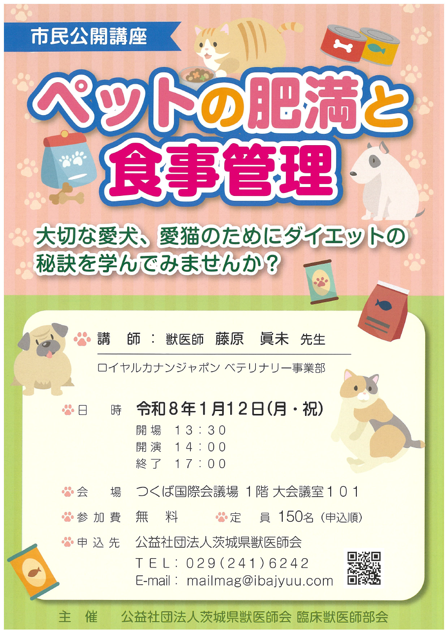 ペットの肥満と食事管理