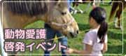 動物愛護啓発イベント