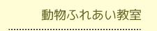 動物ふれあい教室