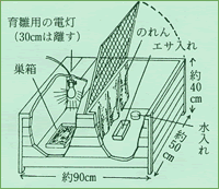 人口ふ化のヒナを電灯熱で育てる場合の飼育舎図