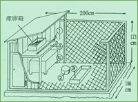 １０羽くらいを飼育するのに適した飼育舎図 